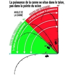 Flexion-canne-mini-FR-zoom