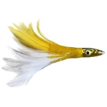 albacore-feather-yw-zoom