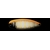 Forest-Charte-Miu-5g-8-1024x269-zoom