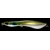Green-Mullet-zoom