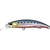 sardine-rb-zoom