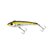 yellowfin-zoom
