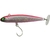 pink-sardine-zoom