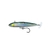 reeal-mackerel-zoom