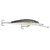 sailfish-uv-zoom