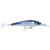 flying-fish-zoom