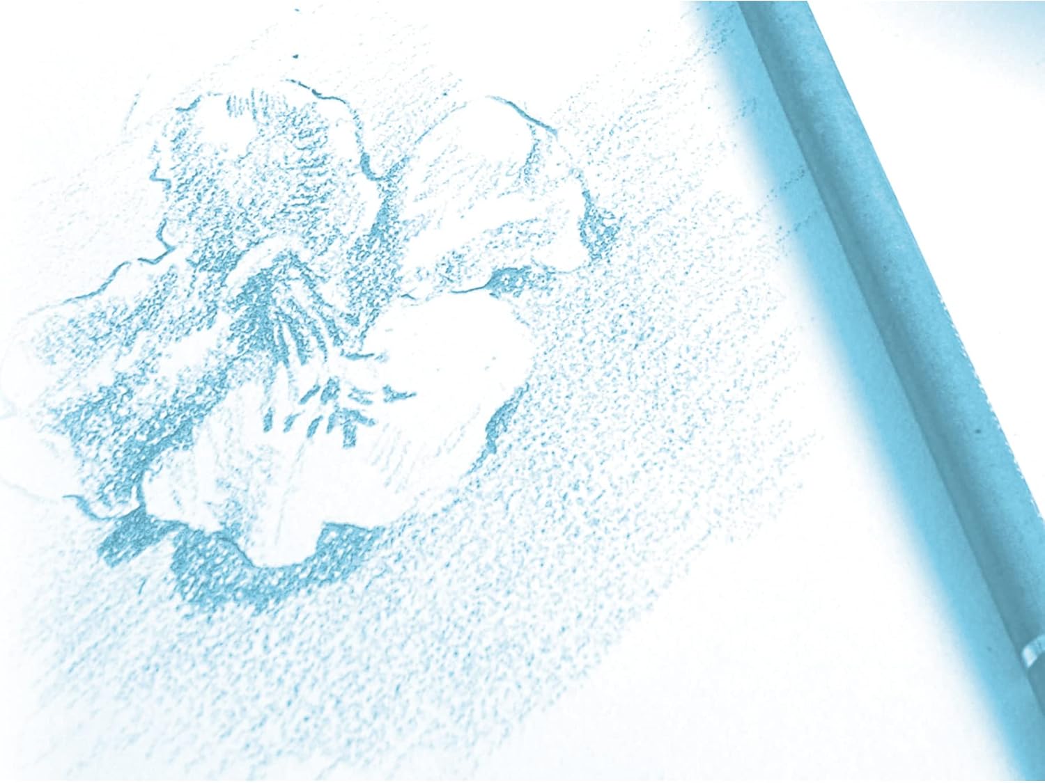 712pPlaGNrL._AC_SL1500_
