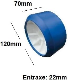 31yvoR5y+5L._AC_
