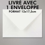 51oyV5GdKzL._AC_SL1152_