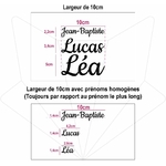 61I7VQt2b2L._AC_SL1134_