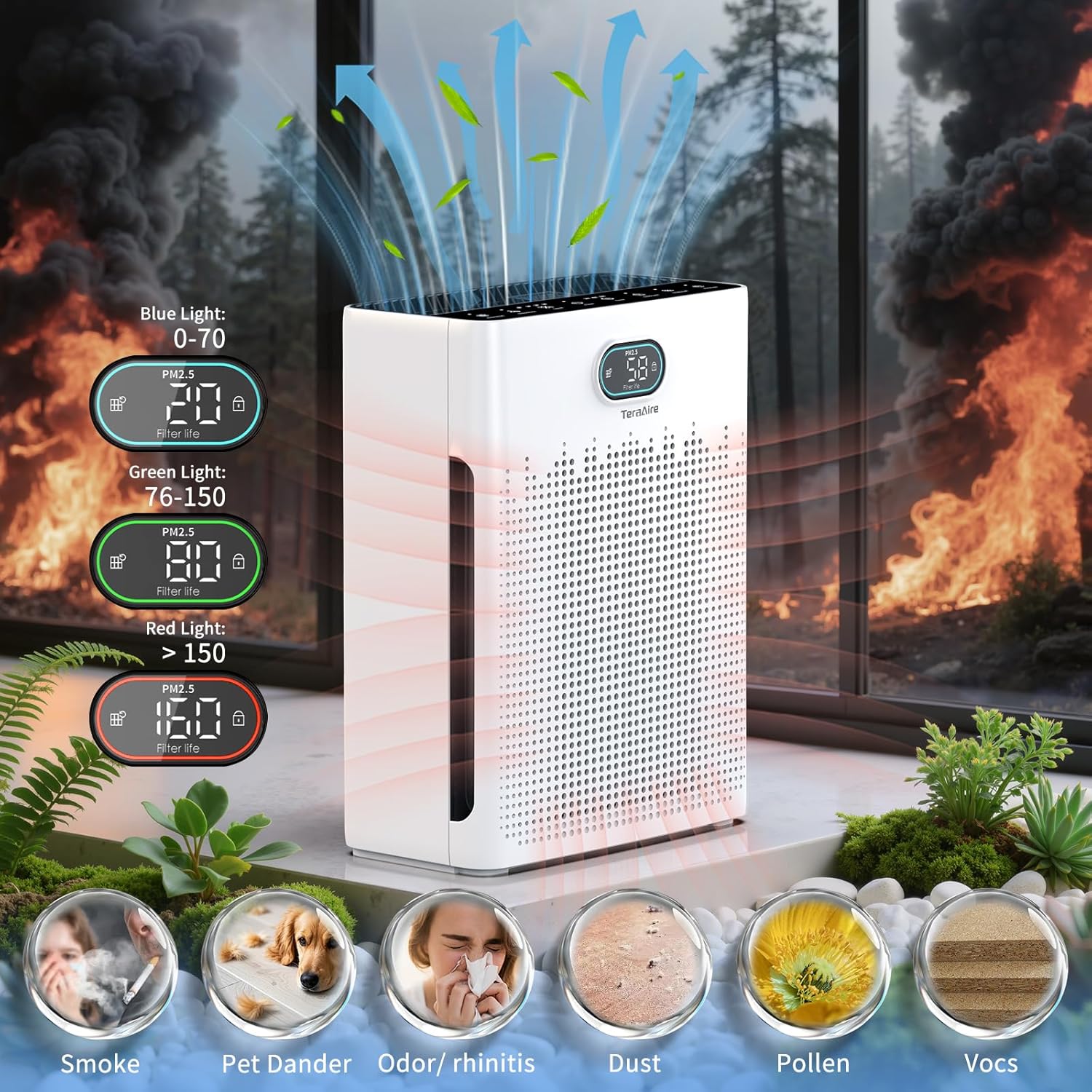 81FOaPAyQoL._AC_SL1500_
