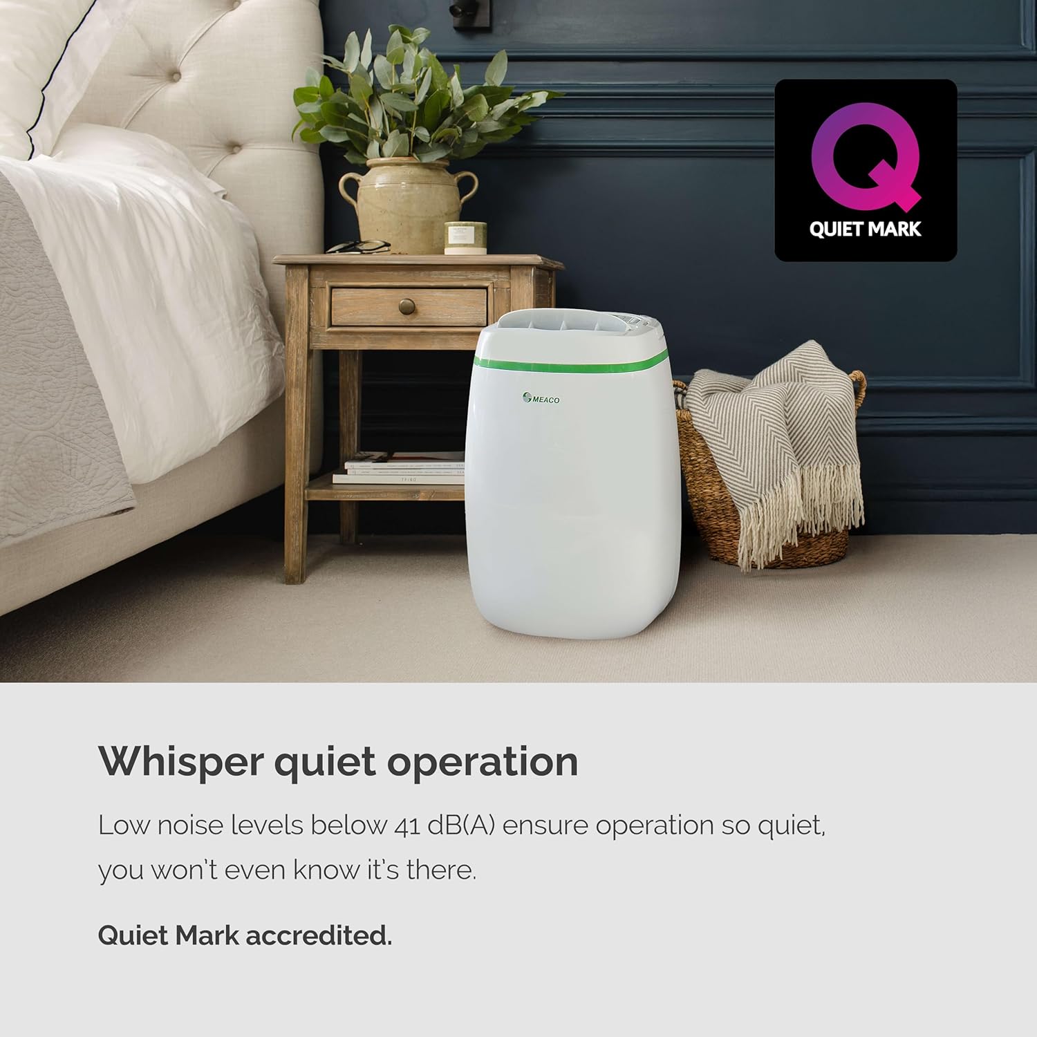 81+xEW+7HrL._AC_SL1500_