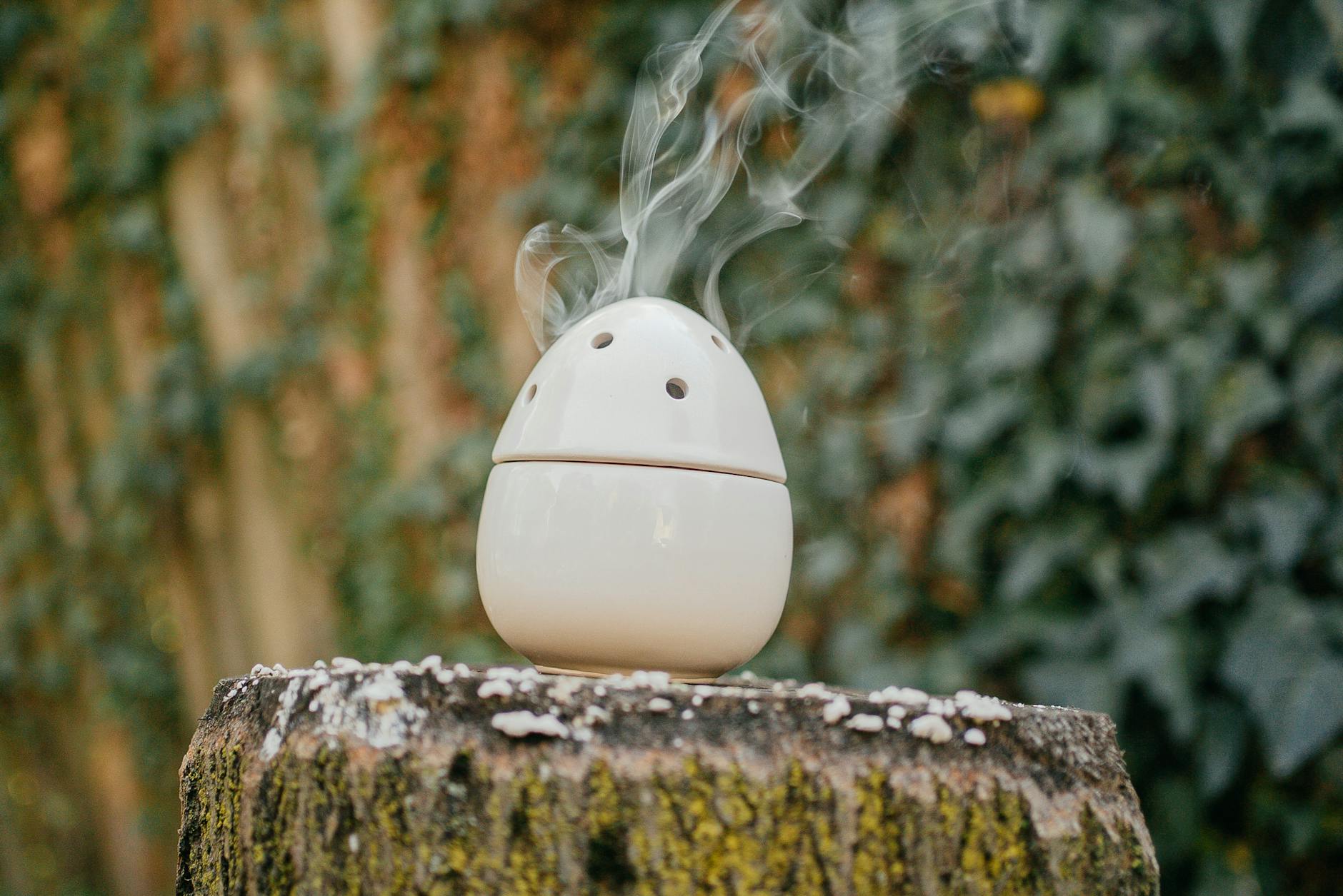 a stylish egg shaped humidifier releasing vapor outdoors on a tree stump