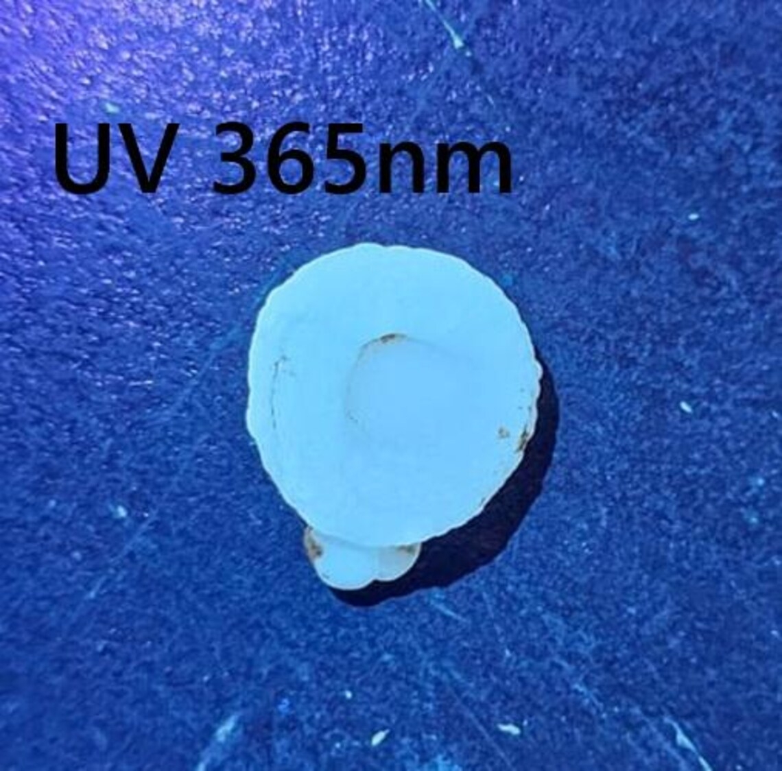 il_1140xN.6910886154_tlh7