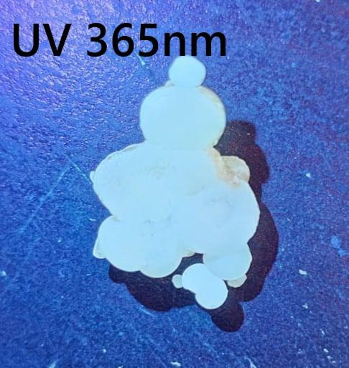 il_1140xN.6958814585_9jy7