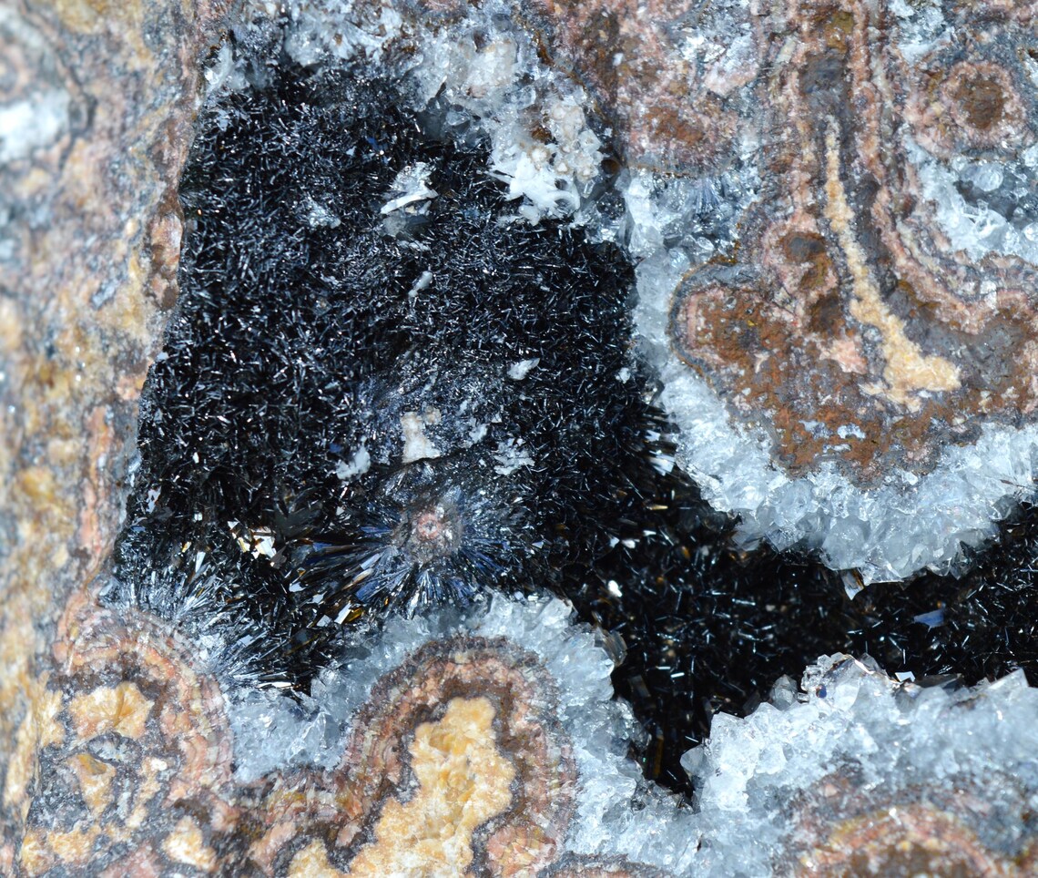 il_1140xN.7195821256_g6ch