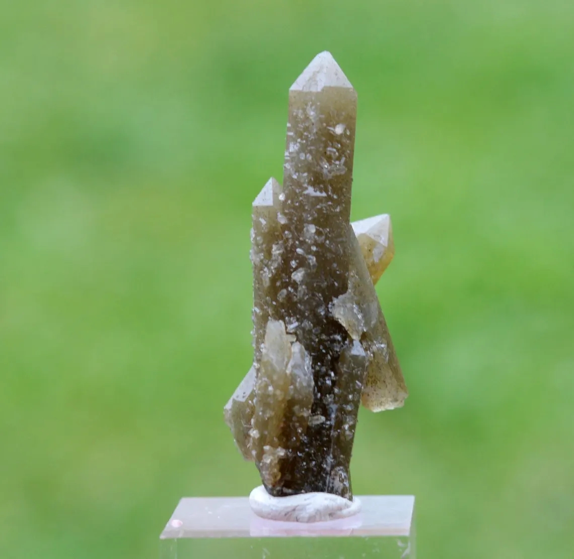 il_1140xN.6910771148_dw16