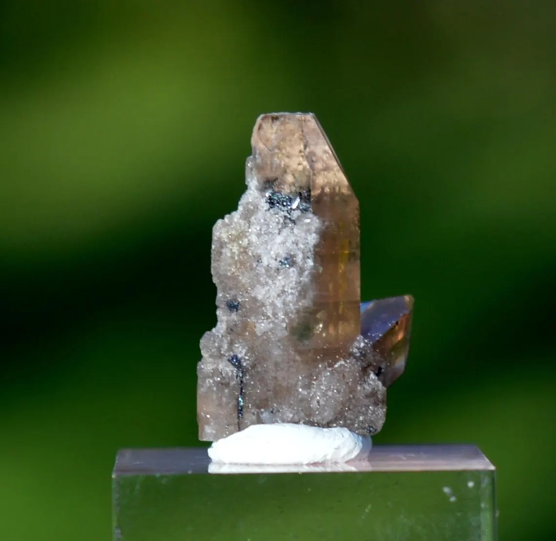 il_1140xN.6785643033_8bdv