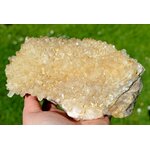 il_1140xN.6795339752_1sbn