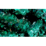 il_1140xN.4845073649_sqbt