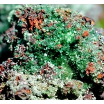 il_1140xN.6987250077_2ht7
