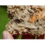il_1140xN.6262900323_dip6