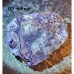 il_1140xN.7026427235_qn90