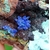 il_1140xN.6343262906_lz9j