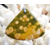 il_794xN.3170930761_isf6