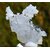il_1140xN.3671715991_sq1l