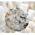 il_1140xN.6337178791_89i3