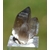 il_1140xN.7043316195_2yyp