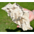 il_1140xN.4967654416_gqnv
