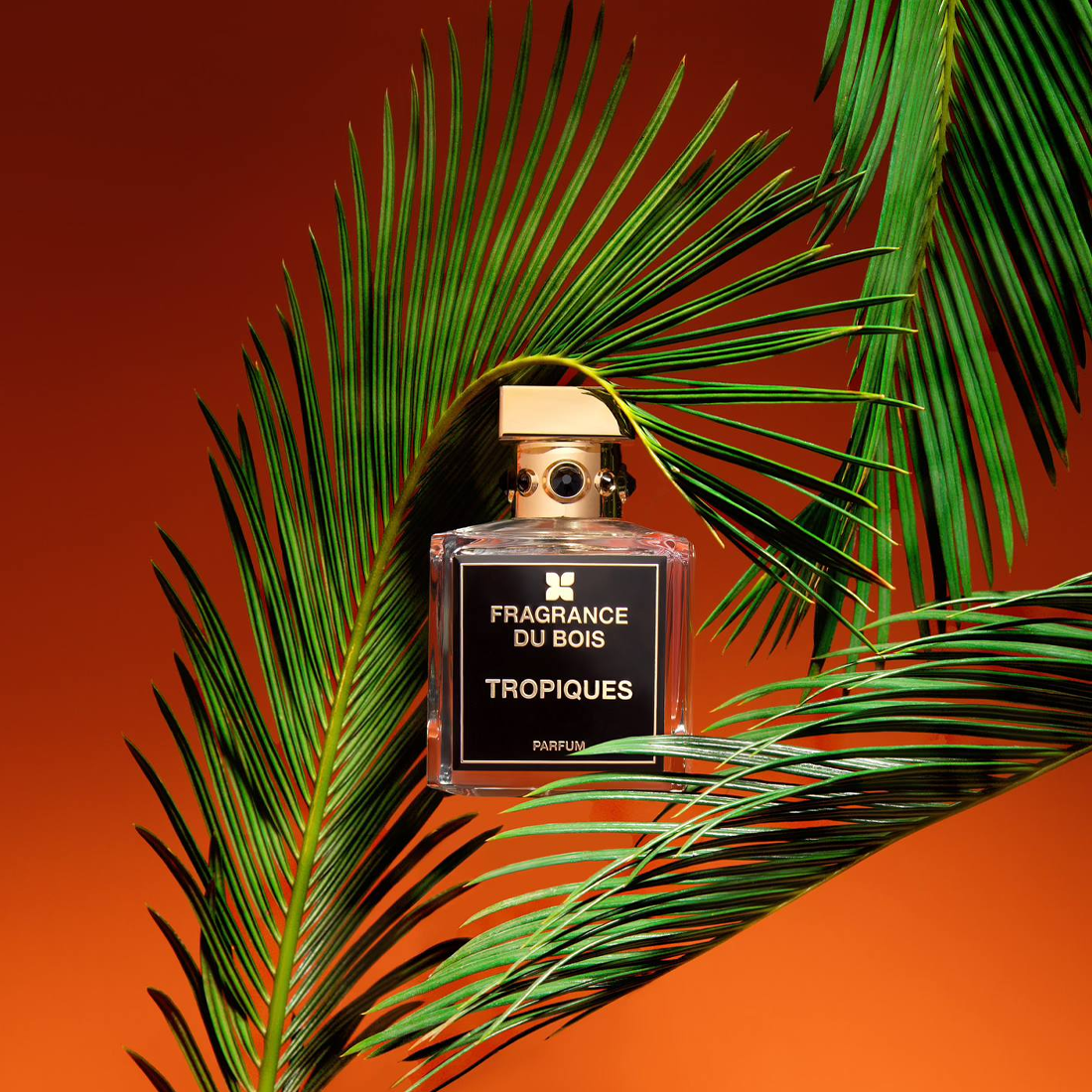 Tropiques