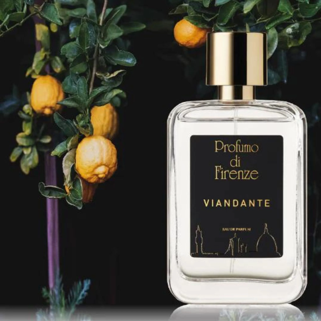 Viandante