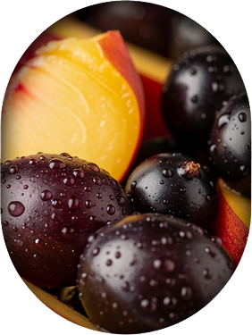 Fruité