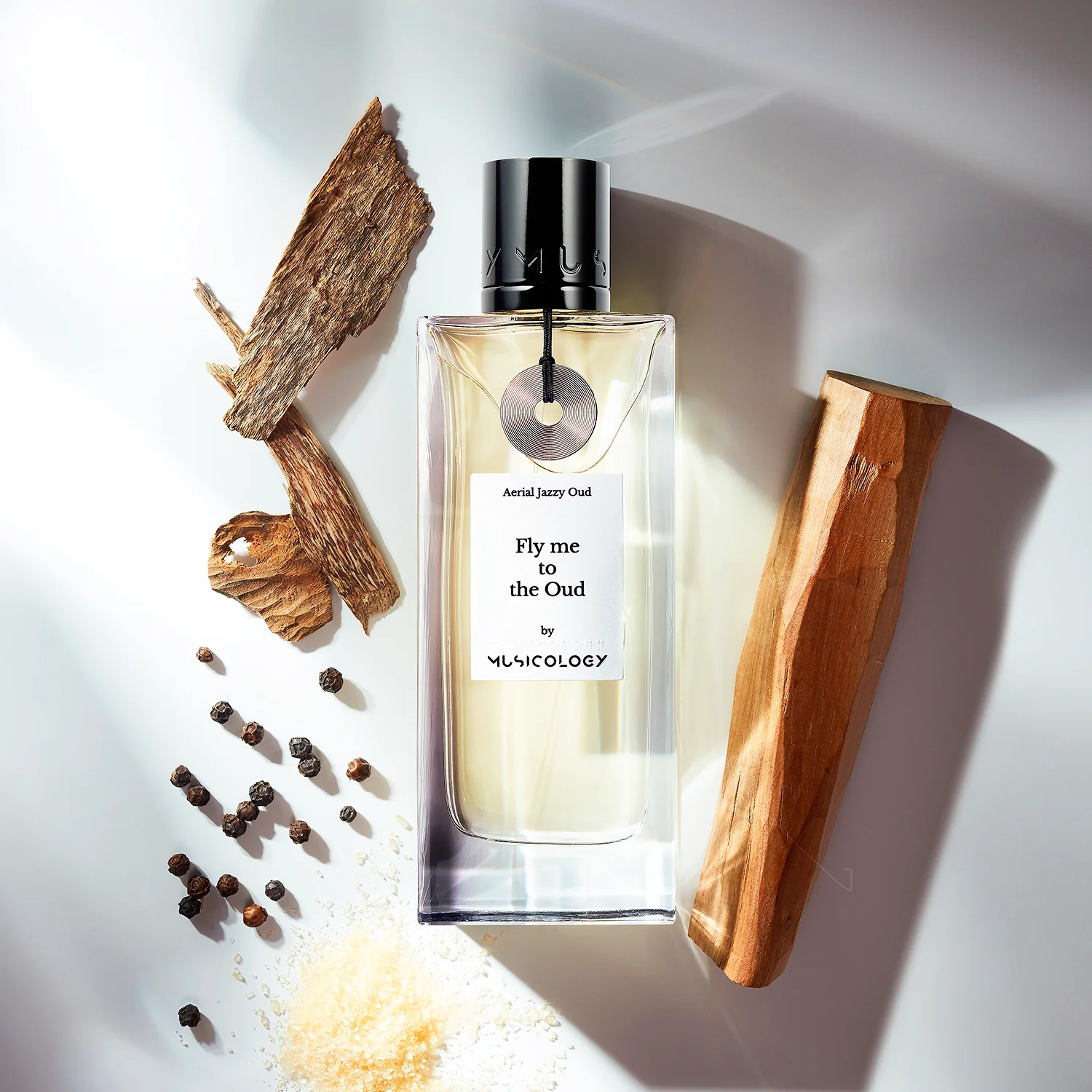 fly-me-to-the-oud-image-2
