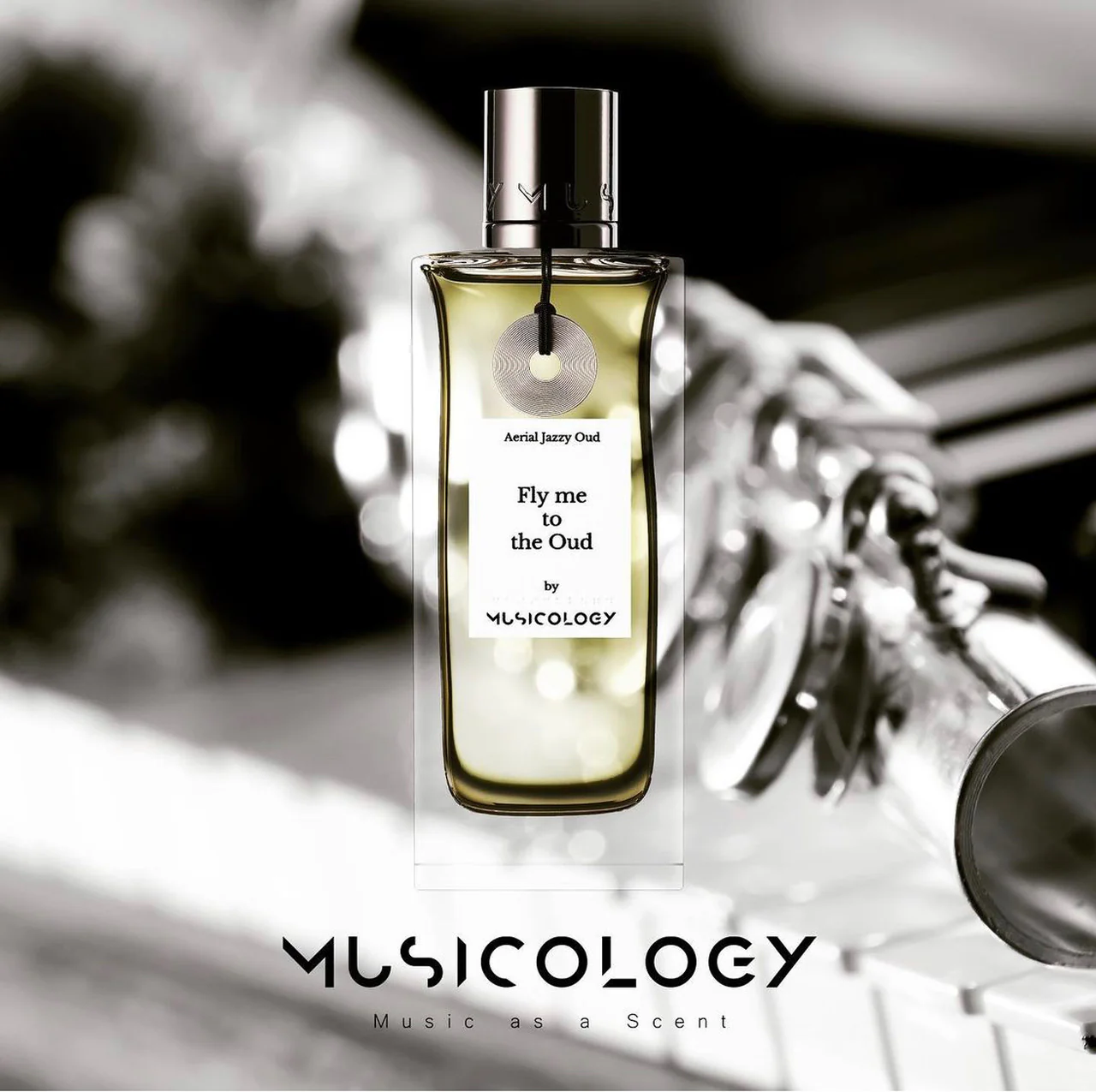 fly-me-to-the-oud-image-4
