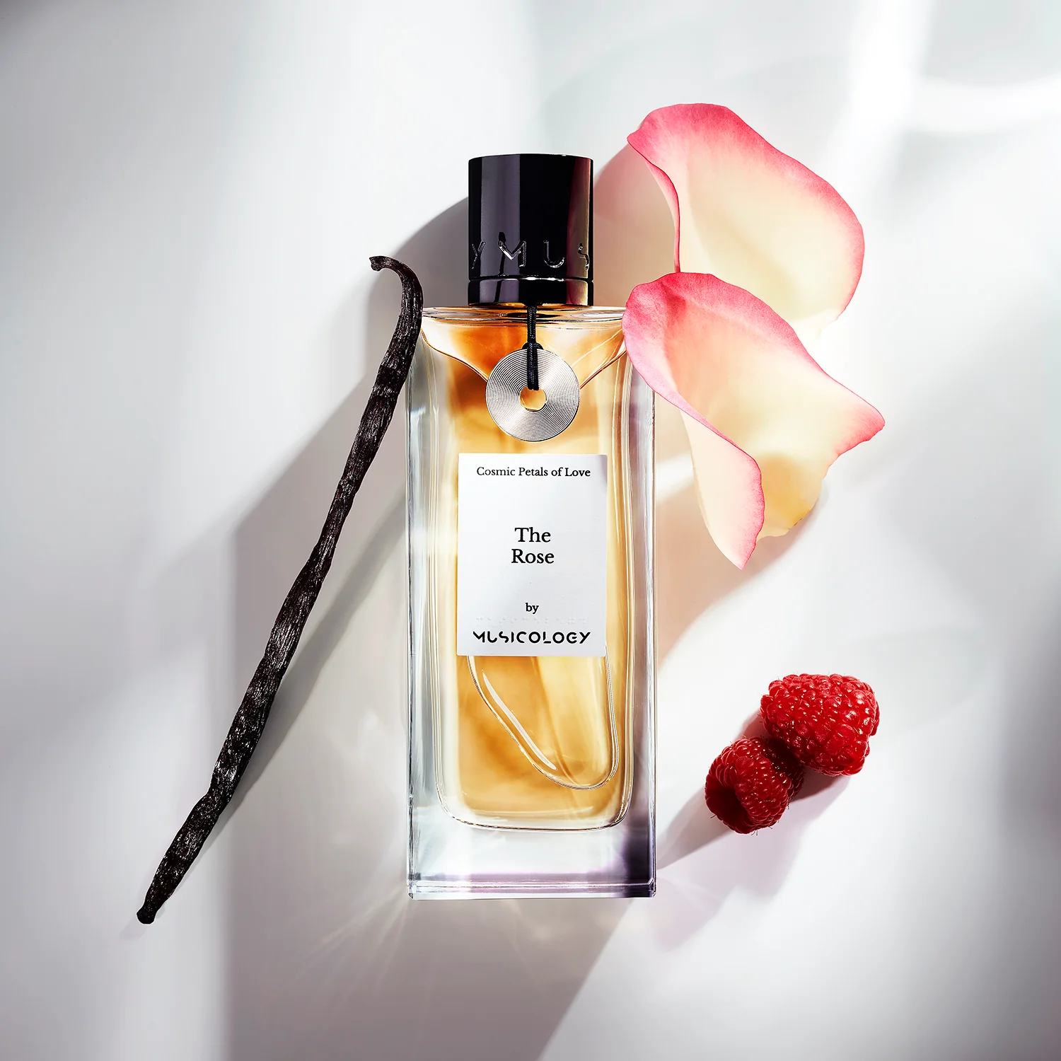 the-rose-image-2