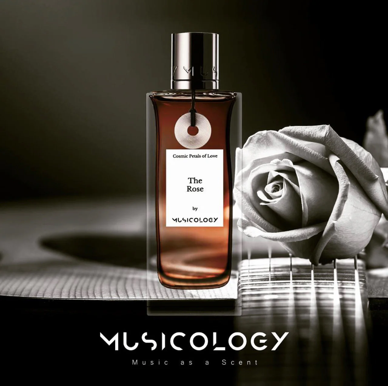 the-rose-image-4