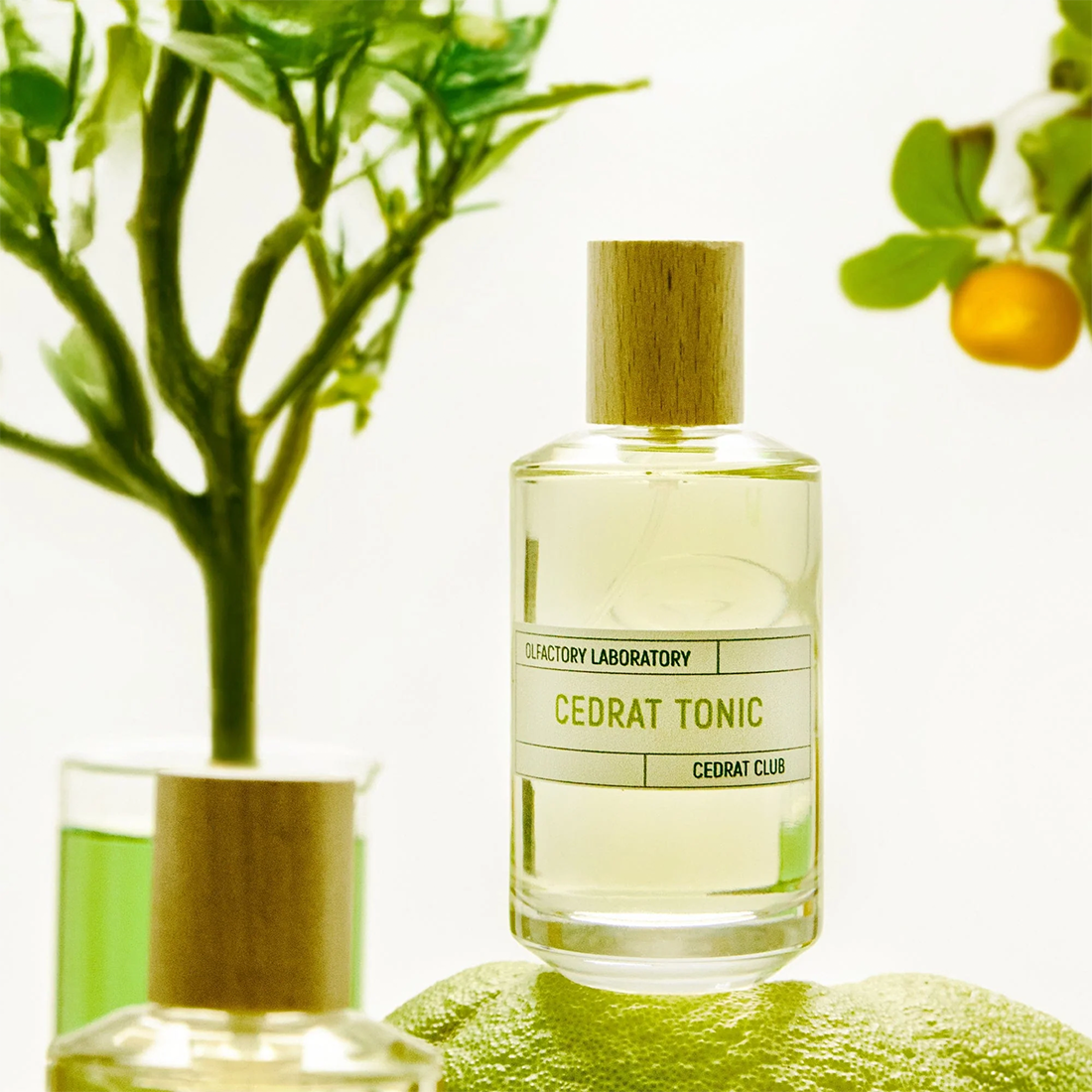 CEDRAT_TONIC