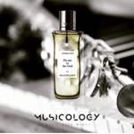 fly-me-to-the-oud-image-4