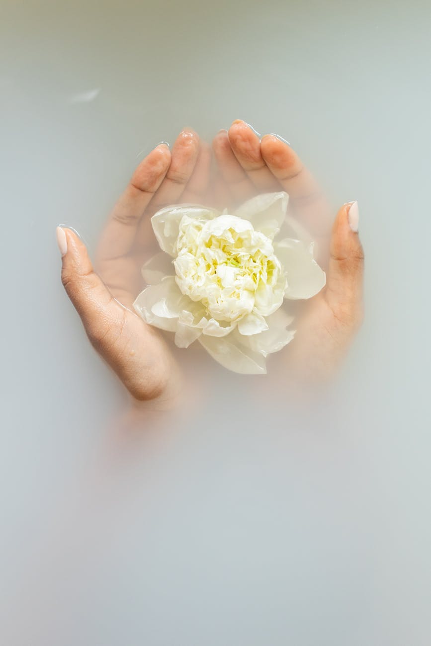 photos gratuites de aromatherapie arome bain de fleurs