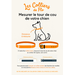 lescolliersdeflo-mesurerletourdecou