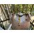 IMG_6917