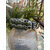 IMG_5471