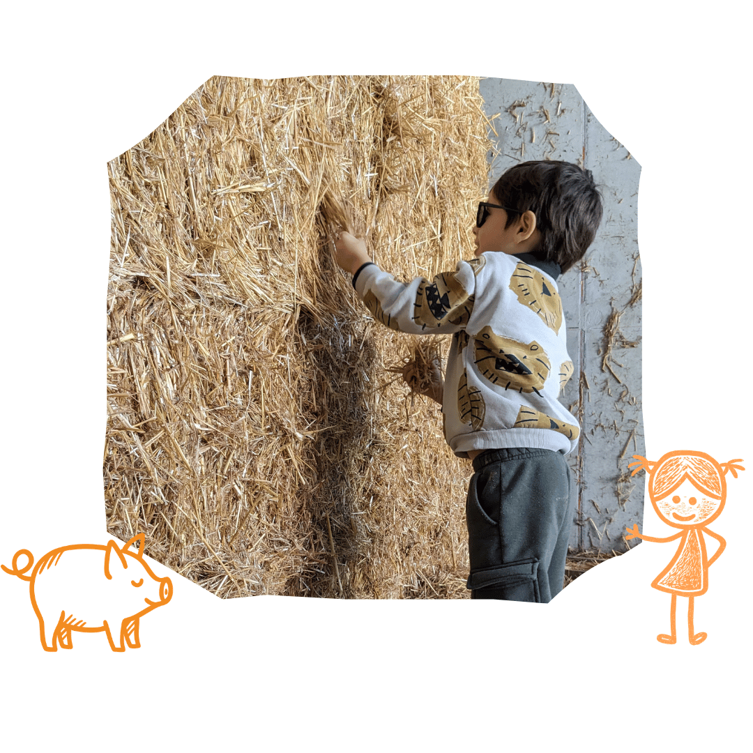 visite pedagogique groupes ferme les acacias urt 64