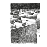 81+2TNXQGwL._SL1135_