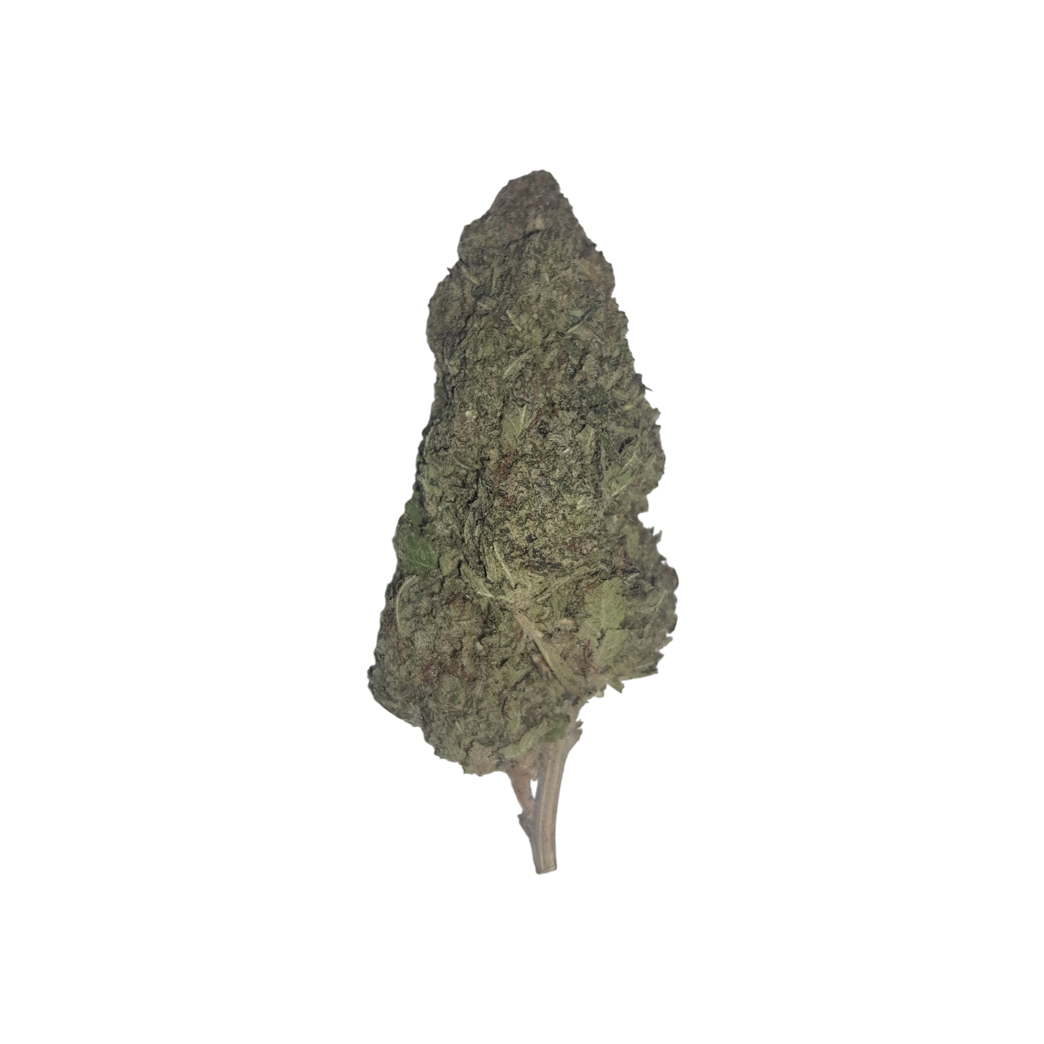 GELATO-Photoroom