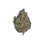 Jack-herer-Photoroom